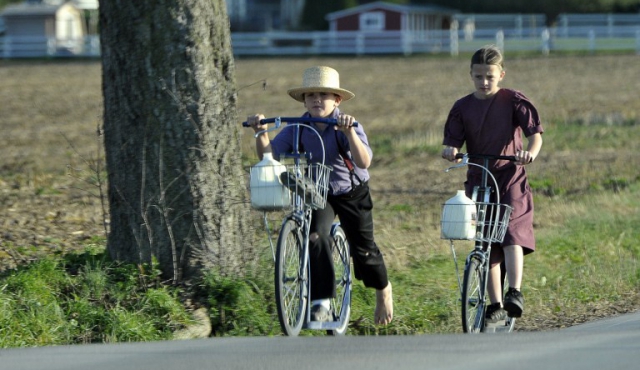 Los niños amish son inmunes al asma