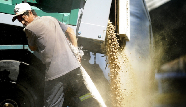 La soja provocó 25% de aumento en exportaciones de abril