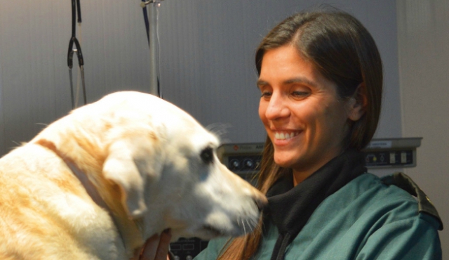 El hospital de mascotas gratuito del Ejército