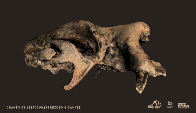 Megafauna 3D: fósiles prehistóricos locales con tecnología de punta