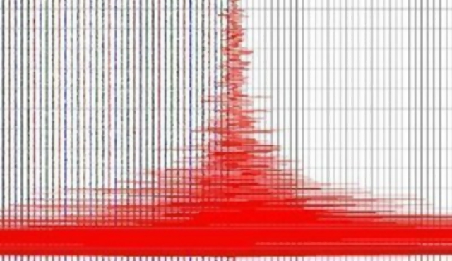 Fuerte sismo sacude México 