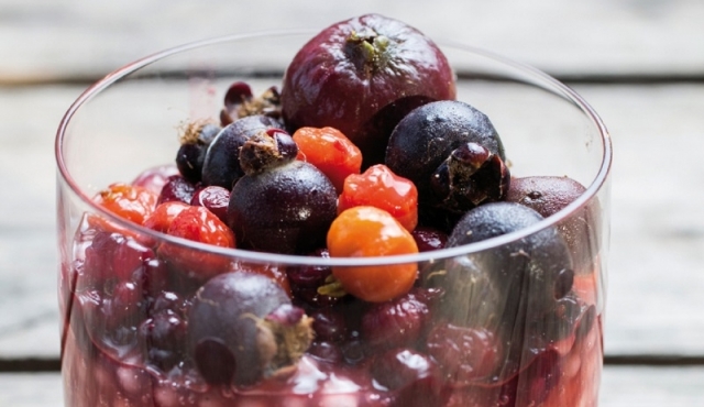 “El guayabo le gusta al 99,9% de los niños”