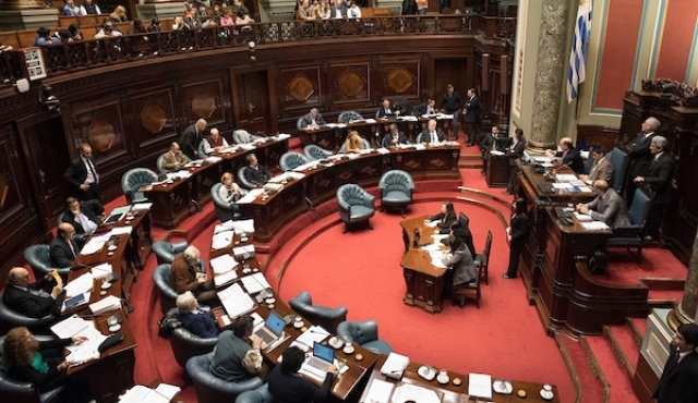 Senado aprobó ley de cuota femenina por unanimidad pero discutió sobre el poder