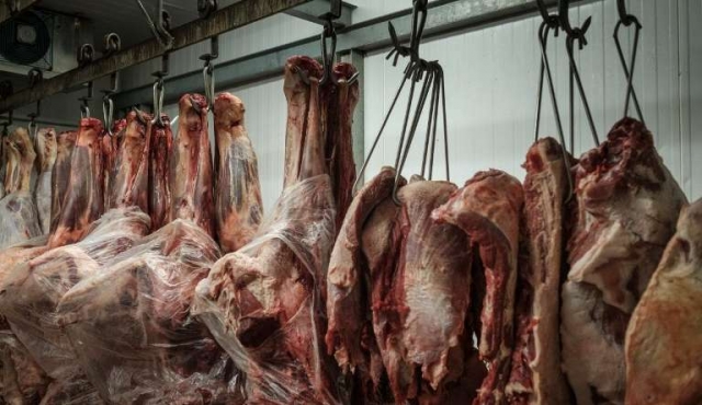TLC UE-Mercosur genera expectativas mesuradas en productores de carne