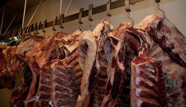 Exportación de carne subió 13% en primer cuatrimestre