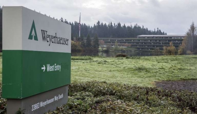 Forestal Weyerhaeuser vende sus activos en el país por 402,5 millones de dólares