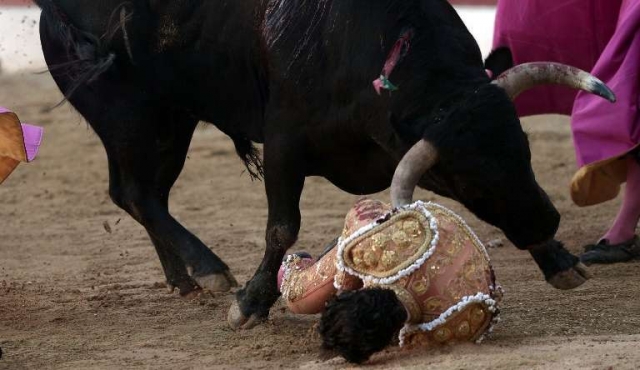 Murió un torero español tras sufrir una cornada