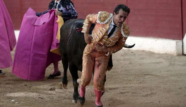 España despide como héroe al torero Iván Fandiño