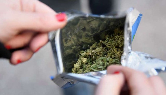 Mercado ilegal de marihuana perdió más de 22 millones de dólares desde la regulación