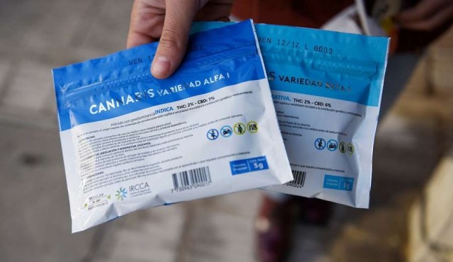 Se duplicó el número de inscriptos para comprar marihuana en farmacias