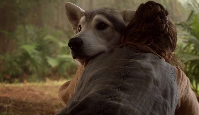 Tyrion Lannister pide a los fans no comprar huskies