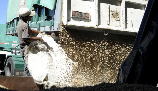 Alza de precios evita que caída de la soja impacte en el monto de exportaciones uruguayas