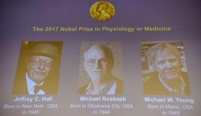 Nobel de Medicina a tres estadounidenses expertos en reloj biológico