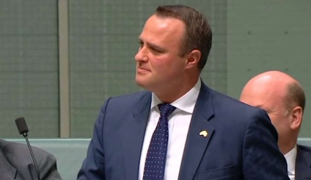 Diputado australiano pidió la mano a su novio en el parlamento