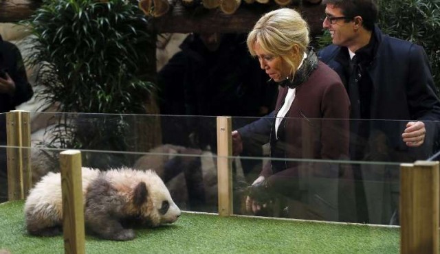 Brigitte Macron bautizó al primer bebé panda de Francia