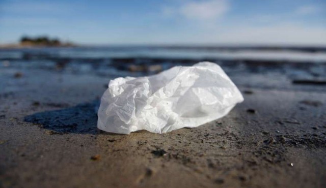 Uruguayos usan 1.200 millones de bolsas por año y aprueban ley para prohibirlas