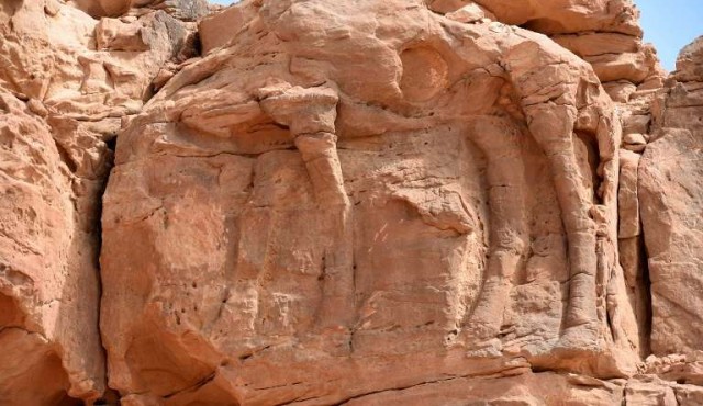 El misterio de las esculturas de camellos en el desierto saudí​