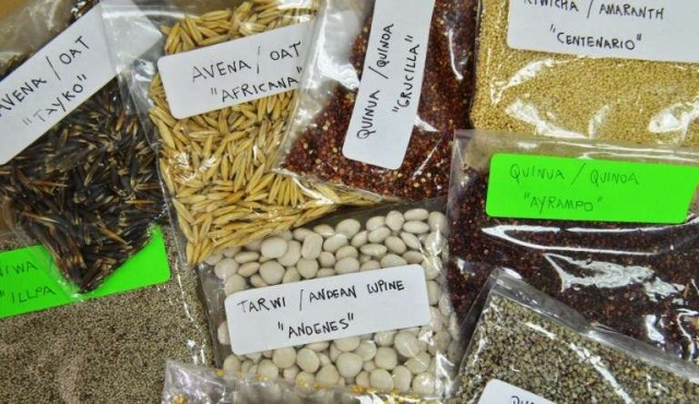 La región andina, despensa de superalimentos amenazada por la sobreproducción