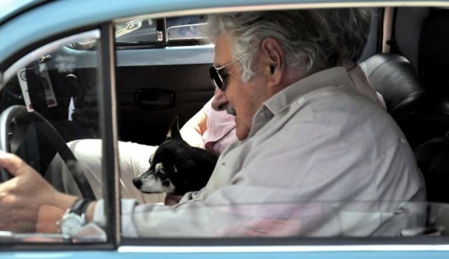 Murió Manuela, la perra de Mujica