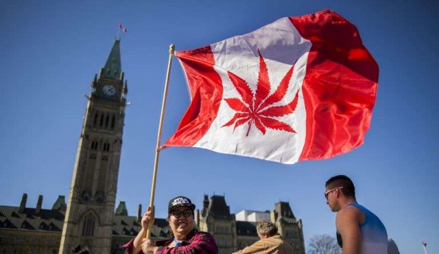 Senado de Canadá aprobó ley que legaliza la marihuana con fines recreativos 