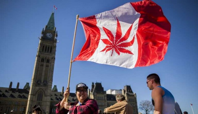 Parlamento canadiense aprueba proyecto de legalización de la marihuana