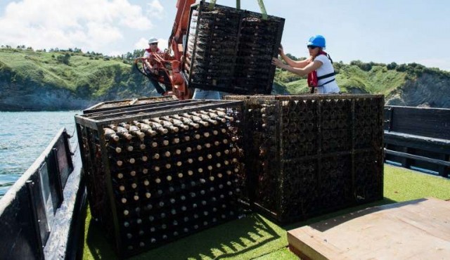 Los vinos submarinos, un nicho al alza en España