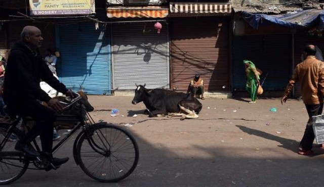 Asesinan a un musulmán en el oeste de India por pasturar vacas