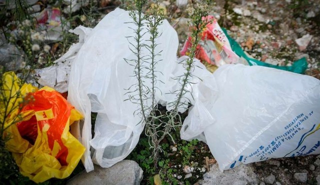 Avanza ley que prohíbe bolsas plásticas no sean biodegradables