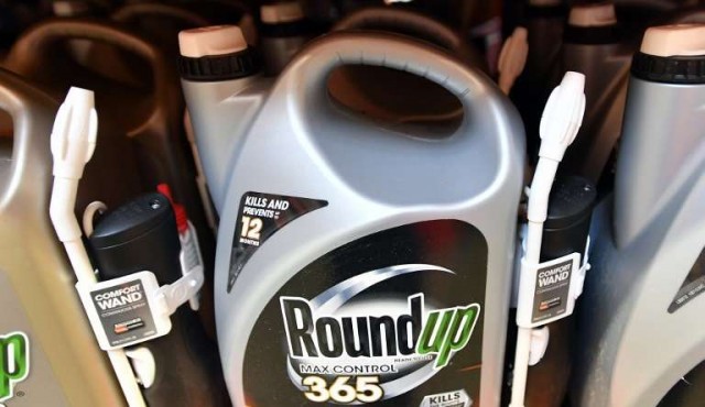 Monsanto, nombre controvertido y multinacional floreciente​