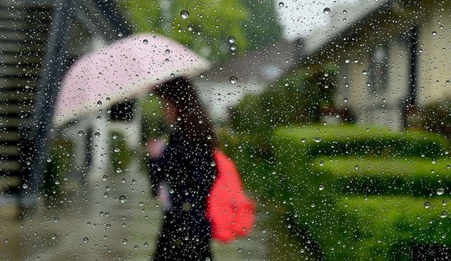 Todos los modelos conducen a El Niño