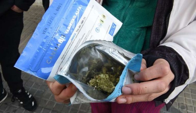 Farmacias vendieron más de 1.200 kilos de marihuana desde julio de 2017