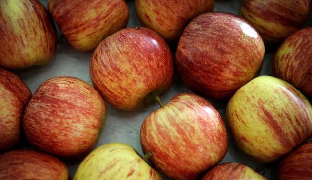 No hay que pelar la manzana: buen uso de agroquímicos no perjudica el consumo