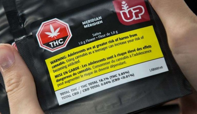 Con THC libre y 30 gramos como límite de tenencia, Canadá legaliza cannabis recreativo