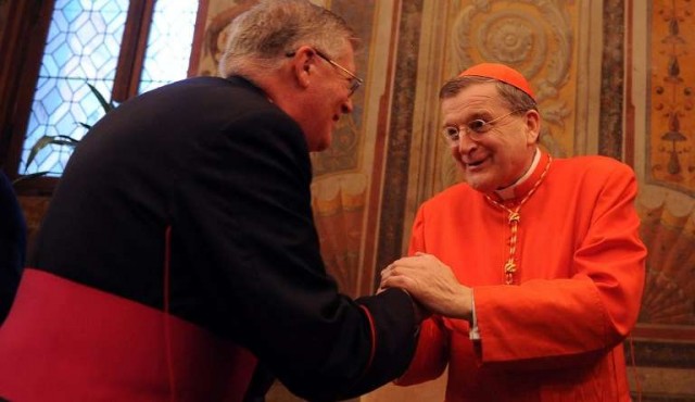 Dos cardenales denuncian “la plaga de la agenda homosexual” en la Iglesia