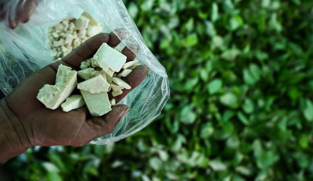 Impulsada por Colombia, producción de cocaína marcó récord mundial en 2017