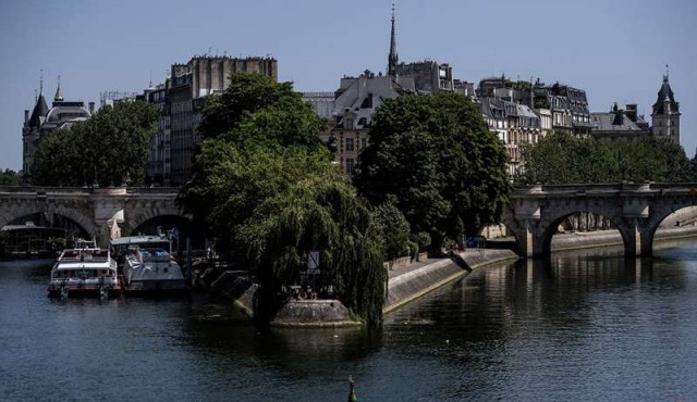 ¿Pueden los árboles salvar a París del calentamiento global?​