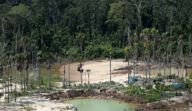 Gobernadores de la Amazonía brasileña critican política de Bolsonaro