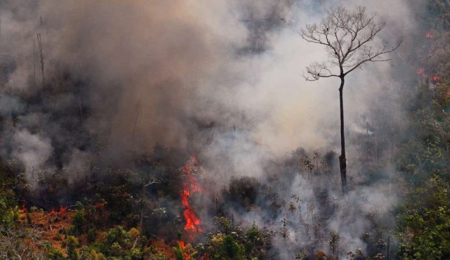 Los incendios en Amazonía torpedean el acuerdo entre la UE y Mercosur