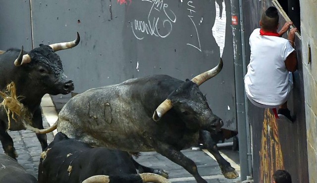 Hombre murió corneado en encierro de toros en España