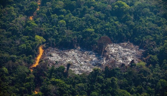 Deforestación de la Amazonía brasileña creció 91% de enero a agosto