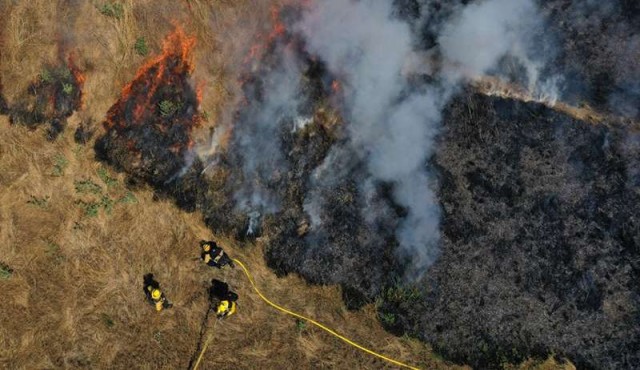 California presenta un gel que ayudará a prevenir incendios forestales