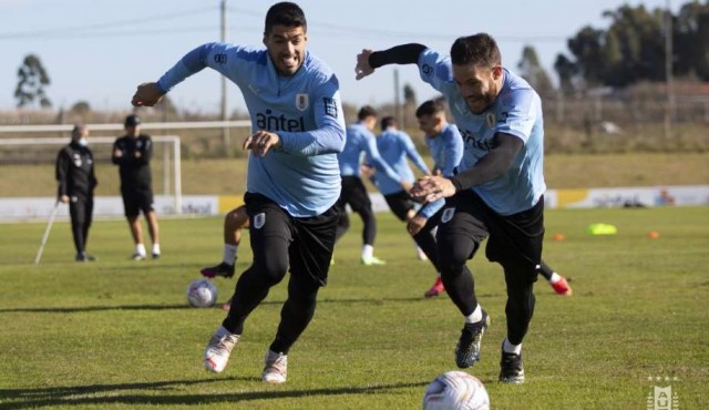 “Jugadores y potencial tenemos de sobra”, advierte Suárez