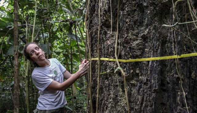 “No podemos vivir en un mundo sin la Amazonía”, advierte reputada científica brasileña