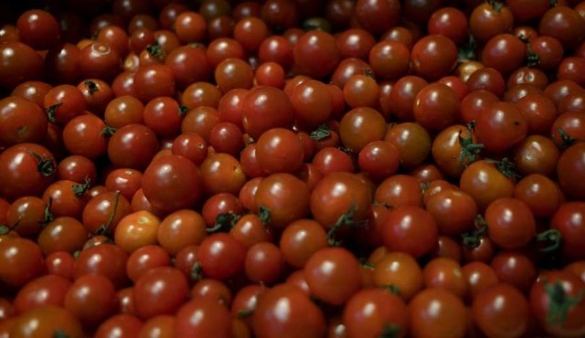 Tomate a 200 pesos: “cuando hay poco producto el poder lo tiene el oferente”