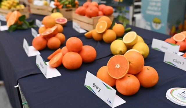 Mes del Citrus en Géant Roosevelt promueve la salud y la educación nutricional