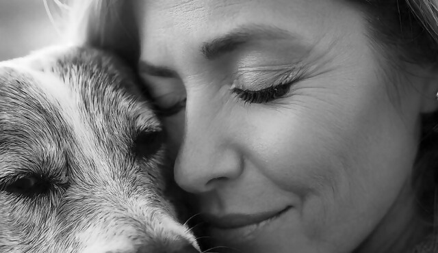 ANIMALES SIN HOGAR lanza una nueva campaña para promover la adopción de perros y gatos