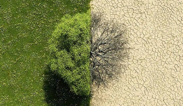 INCENDIOS, SEQUÍAS, OLAS DE CALOR Y LLUVIAS INTENSAS, LOS SUCESOS CLIMÁTICOS CON MAYOR IMPACTO ECONÓMICO Y SOCIAL 