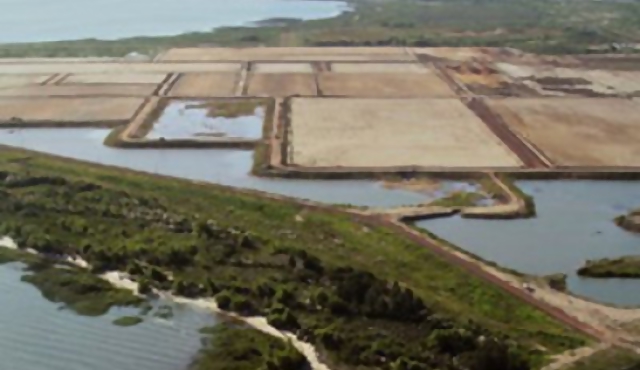 Montes del Plata construirá su planta de celulosa en Uruguay