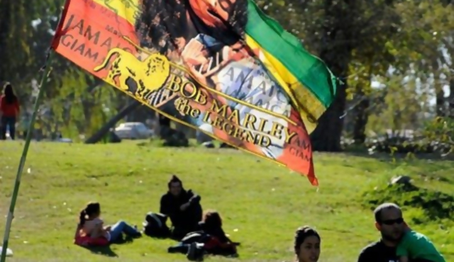 Cuestionan procesamientos por autocultivo de marihuana