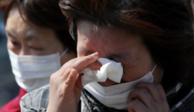 Granjeros japoneses desafían la radiación  